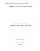 ELABORACIÓN DE UN CHAMPÚ PARA TODO TIPO DE CABELLO