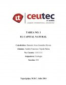 TAREA NO. 1 EL CAPITAL NATURAL