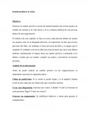 Institucionalizar la vision