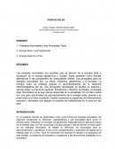 DOCUMENTO