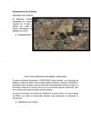 Delimitación Del Problema PROBOSQUE