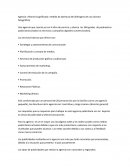 Ejemplo de un informe de visita de agencia publicitaria