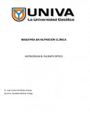Paciente critico y nutricion