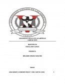 Ensayo de Freud y Jung