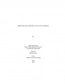 PROGRAMA DE AUDITORIA Y PLAN DE AUDITORIA