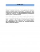 Reporte Si o no a Rusia