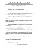 ANOMALIAS URINARIAS AISLADAS