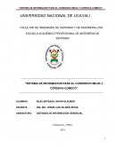 SISTEMA DE INFORMACION PARA EL CONSORCIO MEJÍA Y CÓRDOVA-COMECO