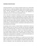 Síntesis de desarrollo y aprendizaje humano