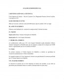 ANALISIS JURISPRUDENCIAL