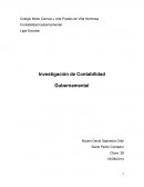 Investigación de Contabilidad Gubernamental