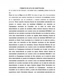 FORMATO DE ACTA DE CONSTITUCION