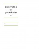 ENTREVISTA A UN PROFESIONISTA