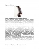 ERGONOMIA Y EMBARAZO