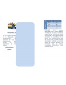 CURSO DE WORD ACTIVIDAD 2 Diseñar un Brochure (folleto)