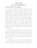 Sistema de Frenos