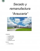 Secado y remanufactura profe paulina