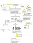 Electroforesis