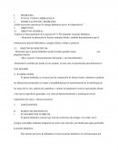 TITULO: PUENTE HIDRAULICO