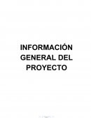 Idea de la necesidad u oportunidad de negocio: