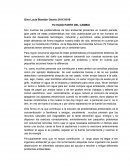 YO HAGO PARTE DEL CAMBIO