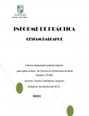 INFORME DE PRÁCTICA CESFAM DALCAHUE