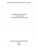 SALUD OCUPACIONAL: SEGURIDAD Y SALUD EN EL TRABAJO