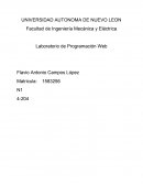 Como funciona el internet