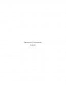 Segmentación y Posicionamiento. Los productos de Apple