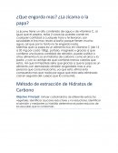 ¿Que engorda mas? ¿La Jícama o la papa?