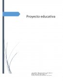Proyecto educativo PRINCIPIOS DEMOCRATICOS