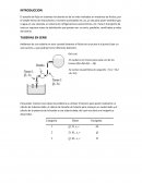 Fisica 3 campo magnetico