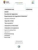 Tipo expositivo Indicadores Ambientales