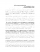 PILOTO AUTOMATICO Y LA ESTRATEGIA