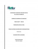Líder de 360° - Ensayo formación sociocultural
