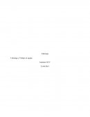 Liderazgo y Trabajo en equipo Explique la definición de liderazgo situacional y el enfoque de liderazgo basado en los rasgos