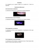 RESULTDOS DE LABORATORIO