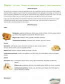 Quesos: sus usos, formas de seleccionar queso y como combinarlos