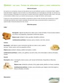 Quesos: sus usos, formas de seleccionar queso y como combinarlos