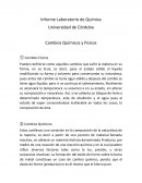 Informe Laboratorio de Química Cambios Químicos y Físicos
