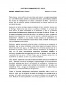 Factores formadores del suelo