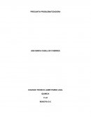 PREGUNTA PROBLEMATIZADORA Quimica organica