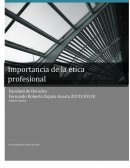 Como es la Importancia de la etica profesional