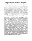 Pruebas de inteligencia en españa