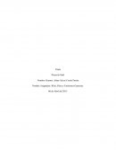 Proyecto final riles y rises