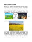 Del campo a la ciudad