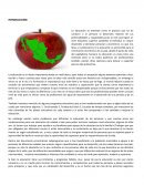 La educación y su impacto en la economía