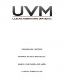 Sintensis del libro “A La Carga”