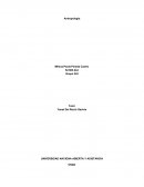 Antropologia