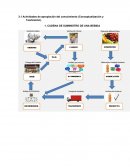 Cadena de suministro Súper Tienda la Avenida